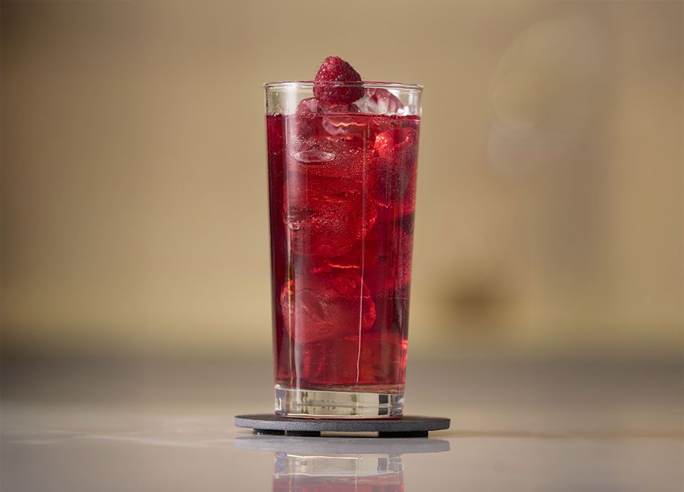 Hibiscus Berry Soda