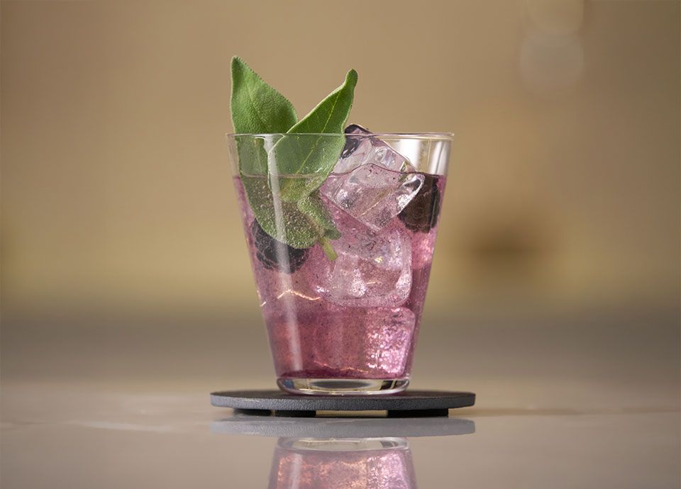 Salvia Soda